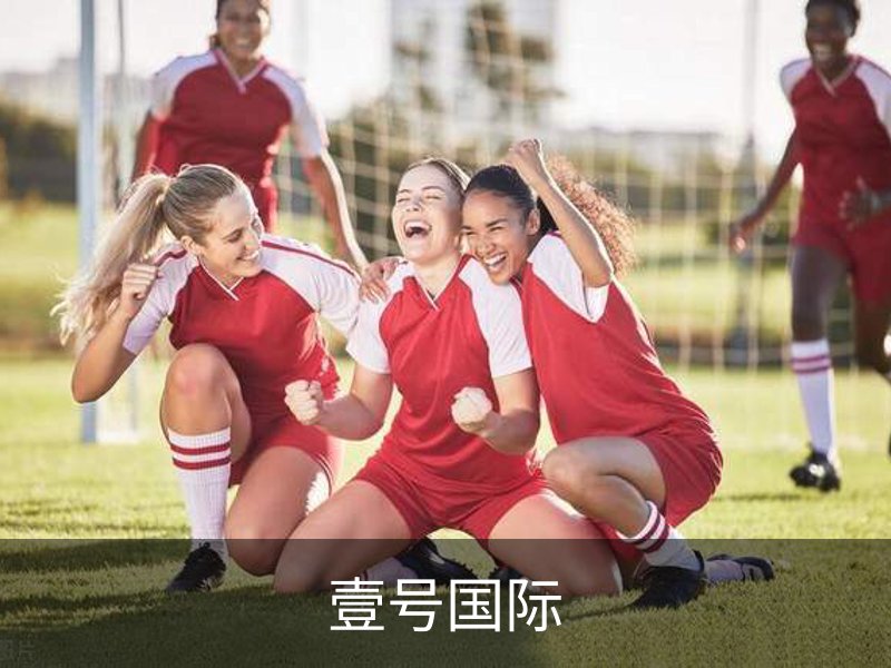 关于壹号国际